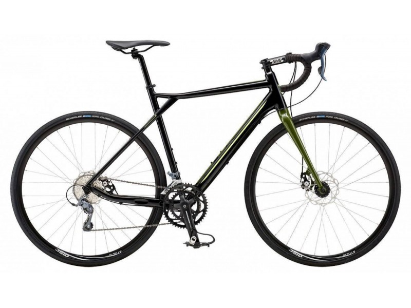 Gt grade on sale comp 2019