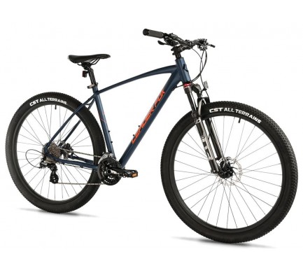 EVOLUTION, MTB 29", M:2025-2     KOLA NA PRODEJ